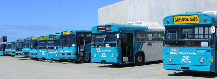 Mackay Transit school buses